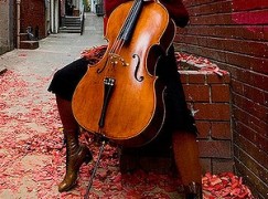 A cellist in distress is denied by US health system