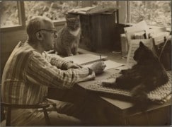 Composers and their cats (4)