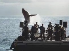 optus-whale-song-orchestra
