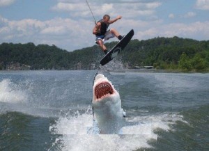 jumping the shark