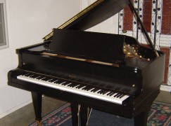 Man wins custody of piano