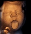 Spanish research: A foetus responds to music in the womb