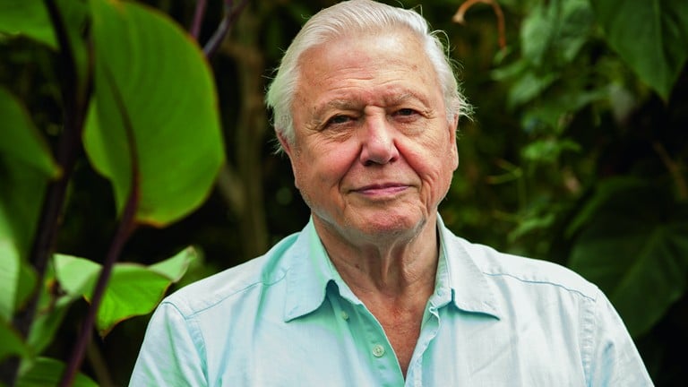David Attenborough: Why music can move us to tears