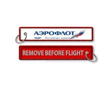 Aeroflot revokes violin ban