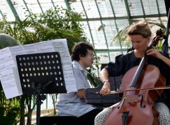 Theft alert: Gofriller cello is snatched on a Paris street