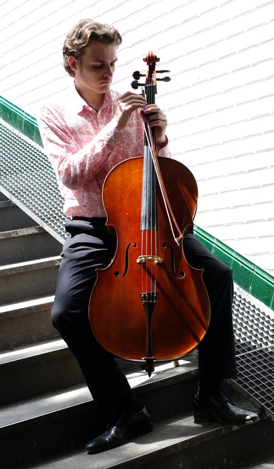 Theft alert: Cello is stolen on a French train
