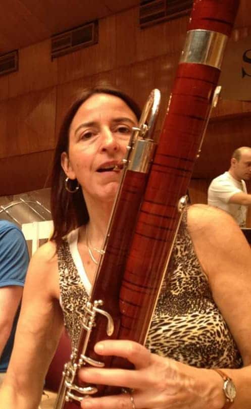 London alert for stolen bassoon