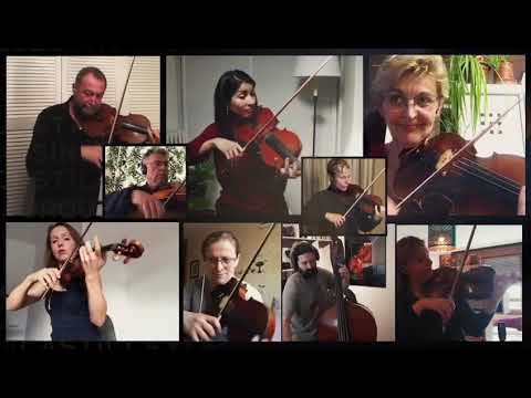 Beethoven 9th played at home, now with added musicians