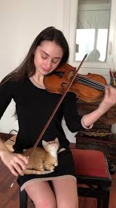 My rescue cat won’t let me practise