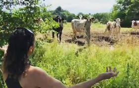 Sing to cows, don’t eat ’em