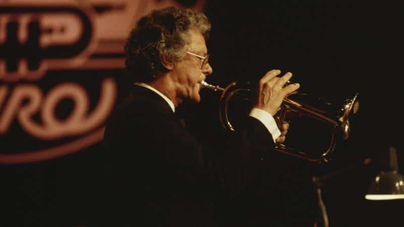 Dutch mourn top trumpet, 91