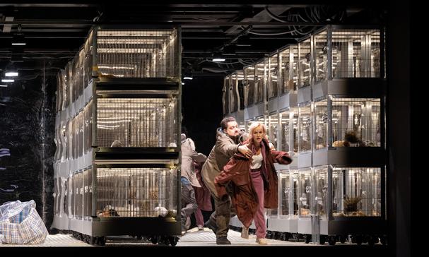 Judge allows Berlin opera to employ bunnies in the Ring