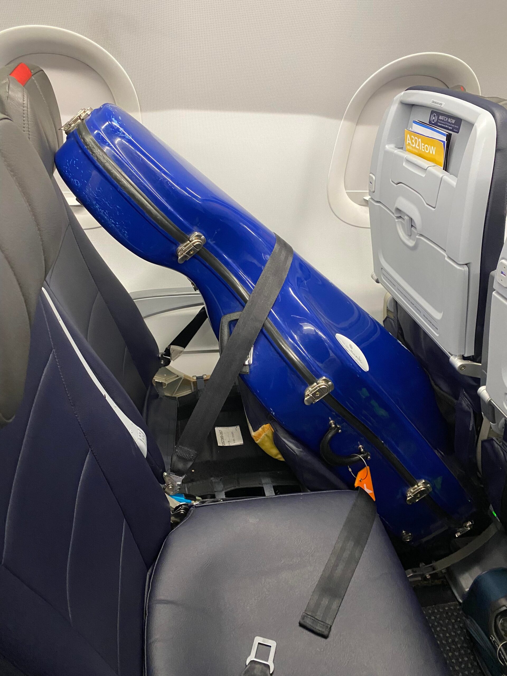 American Airlines unboarded my cello