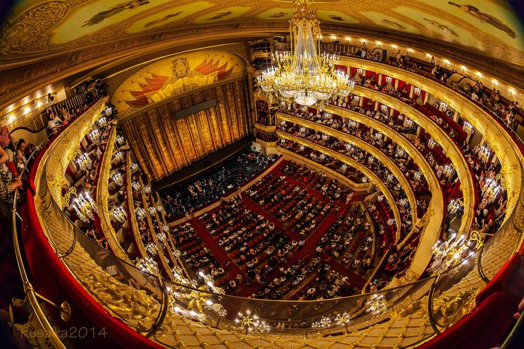 Bolshoi protests over Gergiev ticket increases