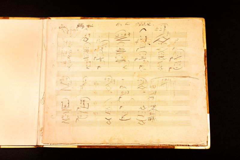 A Beethoven quartet turns up in his own hand