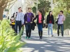 The sorry state of music in New Zealand