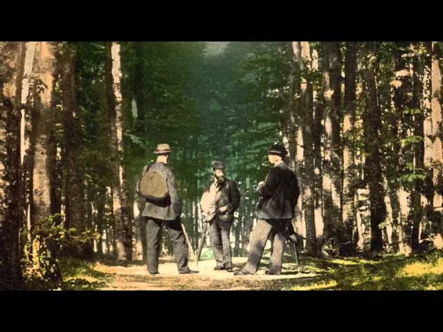 Slippedisc comfort zone (11): A walk in the woods